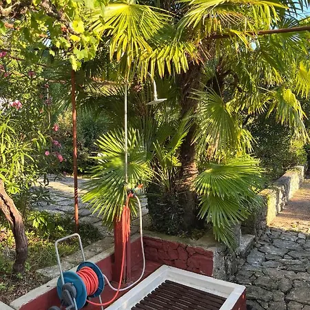 The Red - Beachfront House With A Big, Charming Garden * Malinska